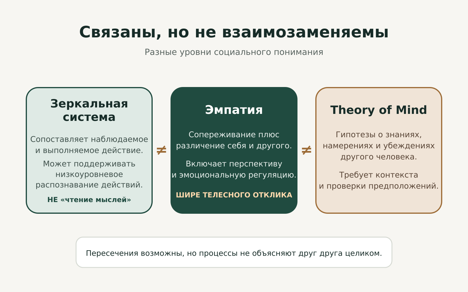 Схема различий между зеркальной системой, эмпатией и Theory of Mind