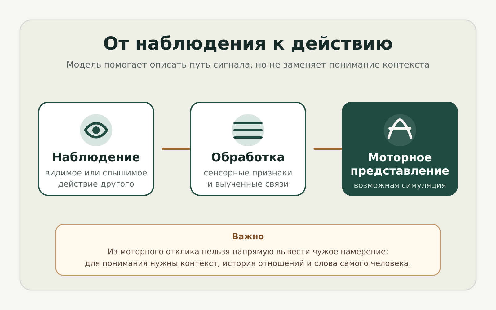 Схема: наблюдение действия активирует моторное представление и воплощённую симуляцию